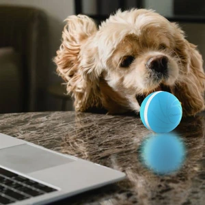 A small dog biting BarxBuddy Busy Ball