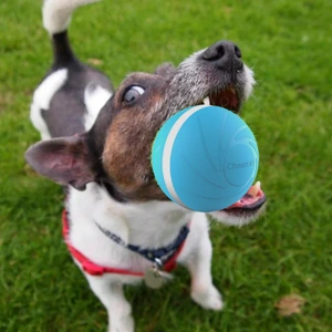 puppy enjoying BarxBuddy Busy Ball